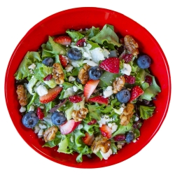 Play Gloria Salad
